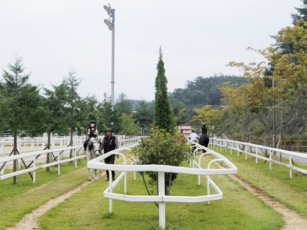 함안군승마공원은 제36회 아라가야문화제를 맞아 오는 11일~12일 양일간 함안군승마공원(가야읍 봉수로 478)과 악양승마장(법수면 악양길 313)에서 승마체험을 운영한다.